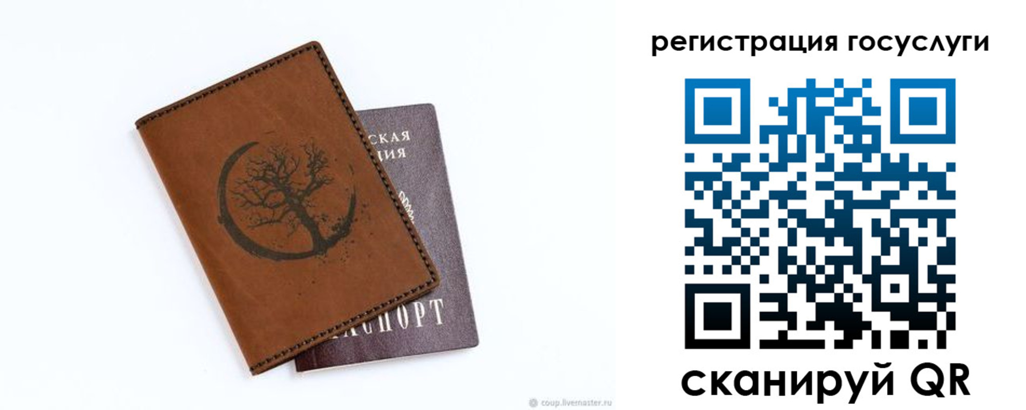 прописка для школы в Краснодарском крае